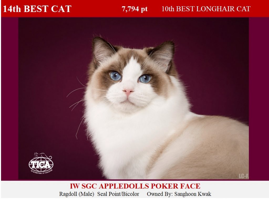 C14-HP_ Appledolls Poker Face