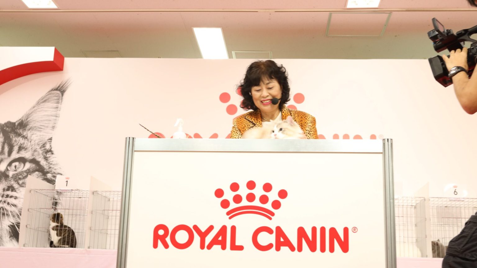 Regional Cat Show 【 Japan Cat Show 2022】 会場の様子(画像掲載） TICA Asia East