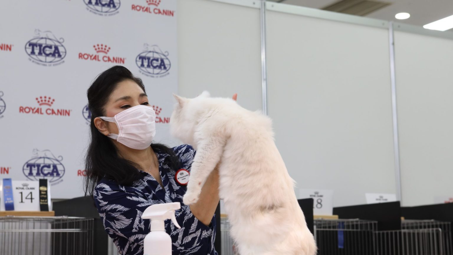 Regional Cat Show 【 Japan Cat Show 2022】 会場の様子(画像掲載） TICA Asia East