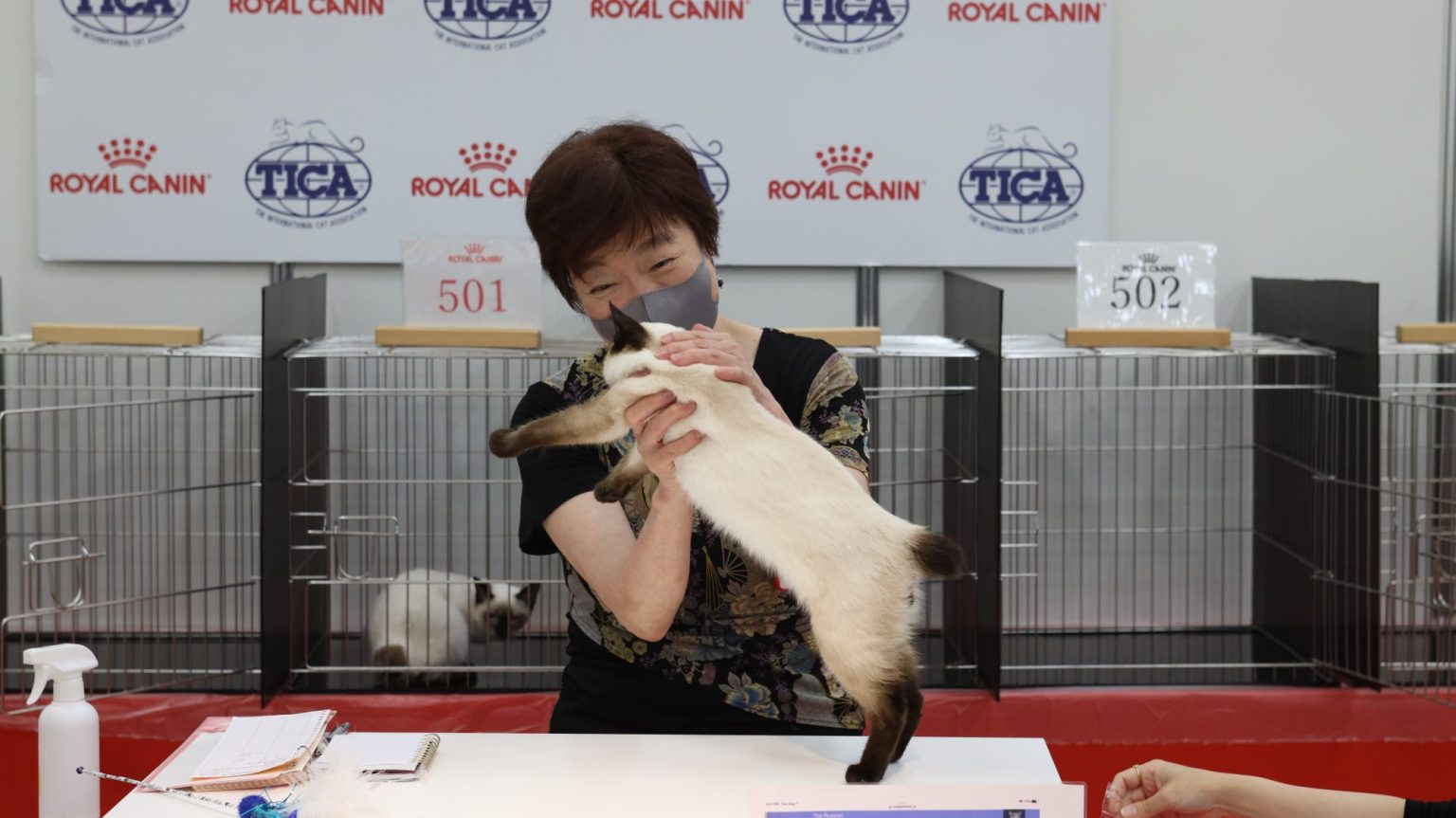 Regional Cat Show 【 Japan Cat Show 2022】 会場の様子(画像掲載） TICA Asia East