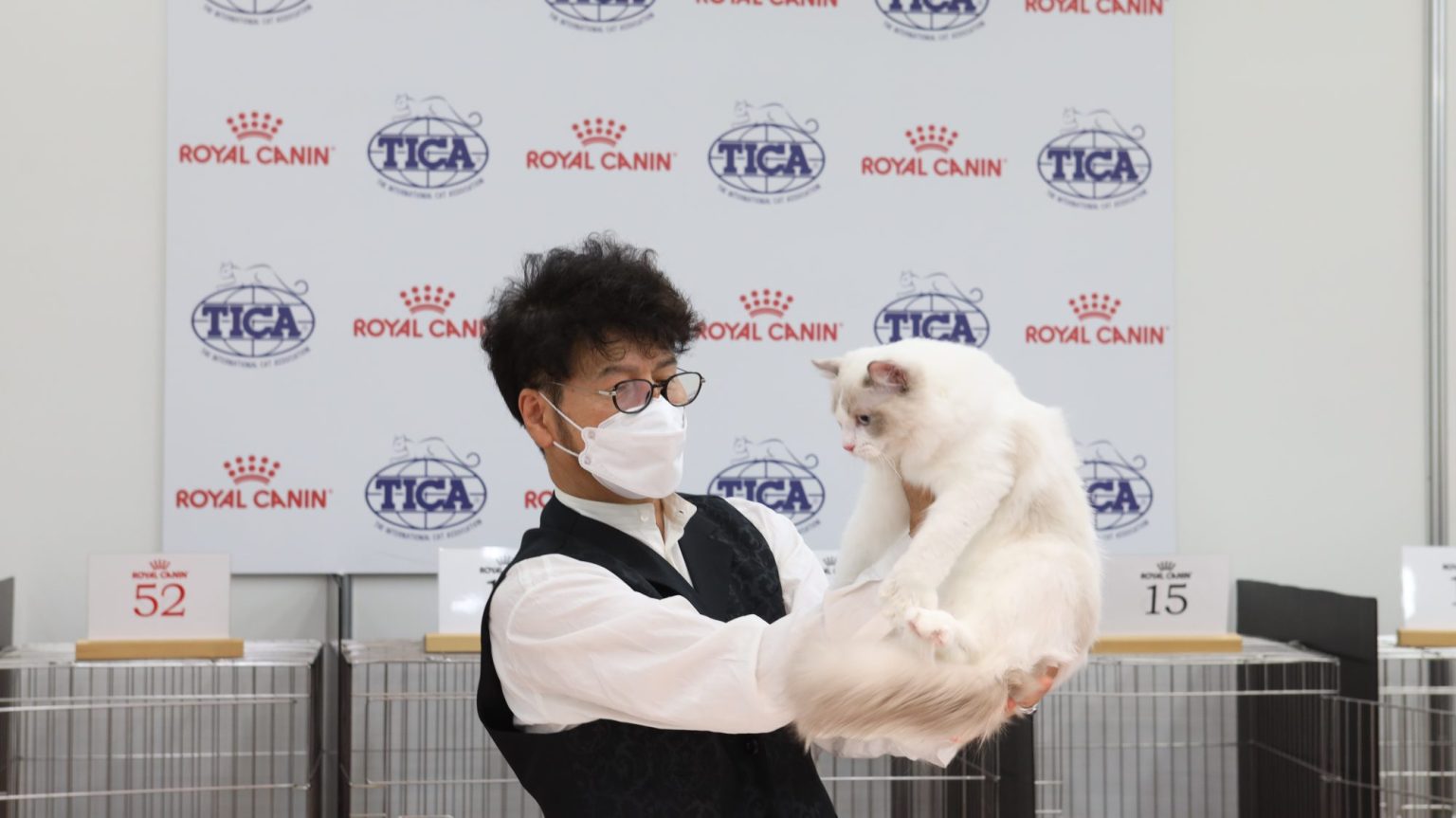 Regional Cat Show 【 Japan Cat Show 2022】 会場の様子(画像掲載） TICA Asia East