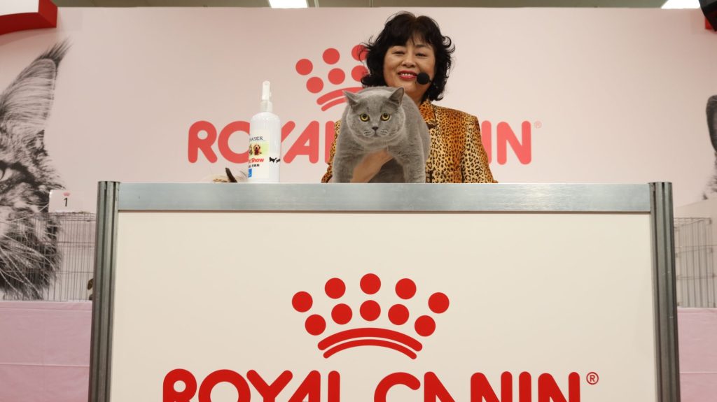 Regional Cat Show 【 Japan Cat Show 2022】 会場の様子(画像掲載） TICA Asia East