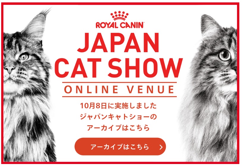 【ご報告】 JAPAN CAT SHOW 2023 ロイヤルカナン「TICA Asia East Region Show」（画像掲載