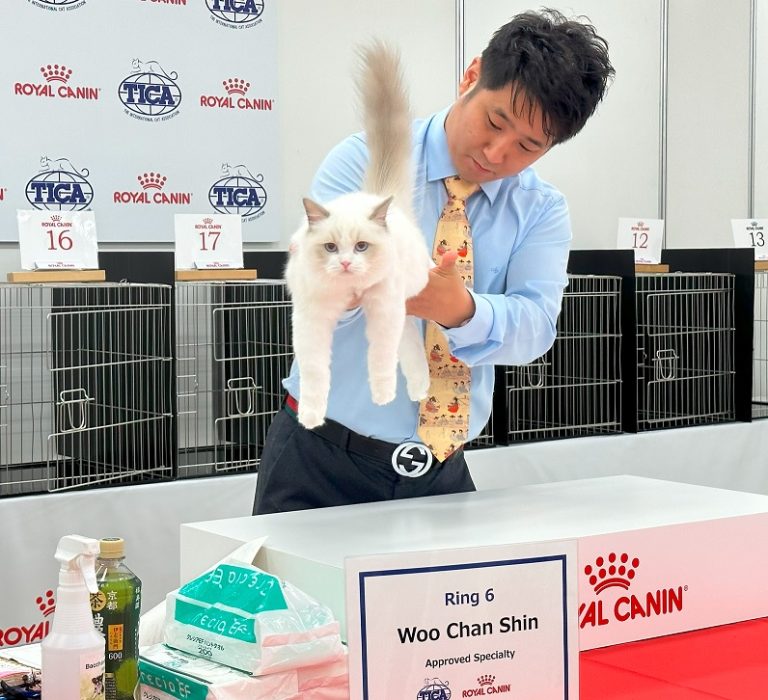 【ご報告】 JAPAN CAT SHOW 2023 ロイヤルカナン「TICA Asia East Region Show」（画像掲載 ...