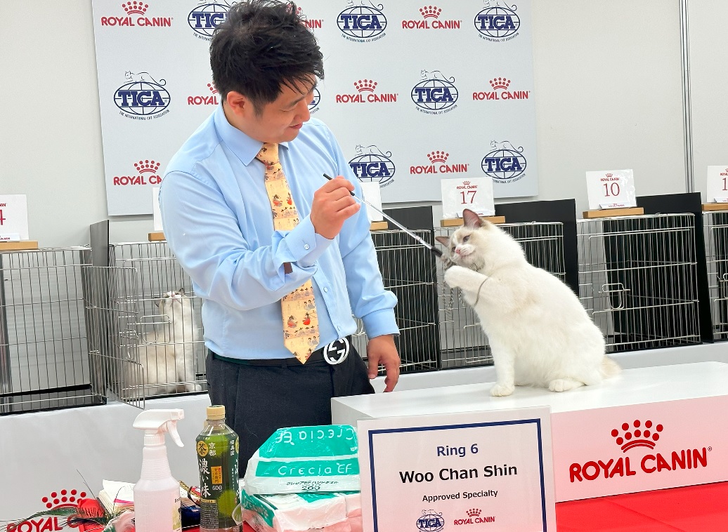 【ご報告】 JAPAN CAT SHOW 2023 ロイヤルカナン「TICA Asia East Region Show」（画像掲載