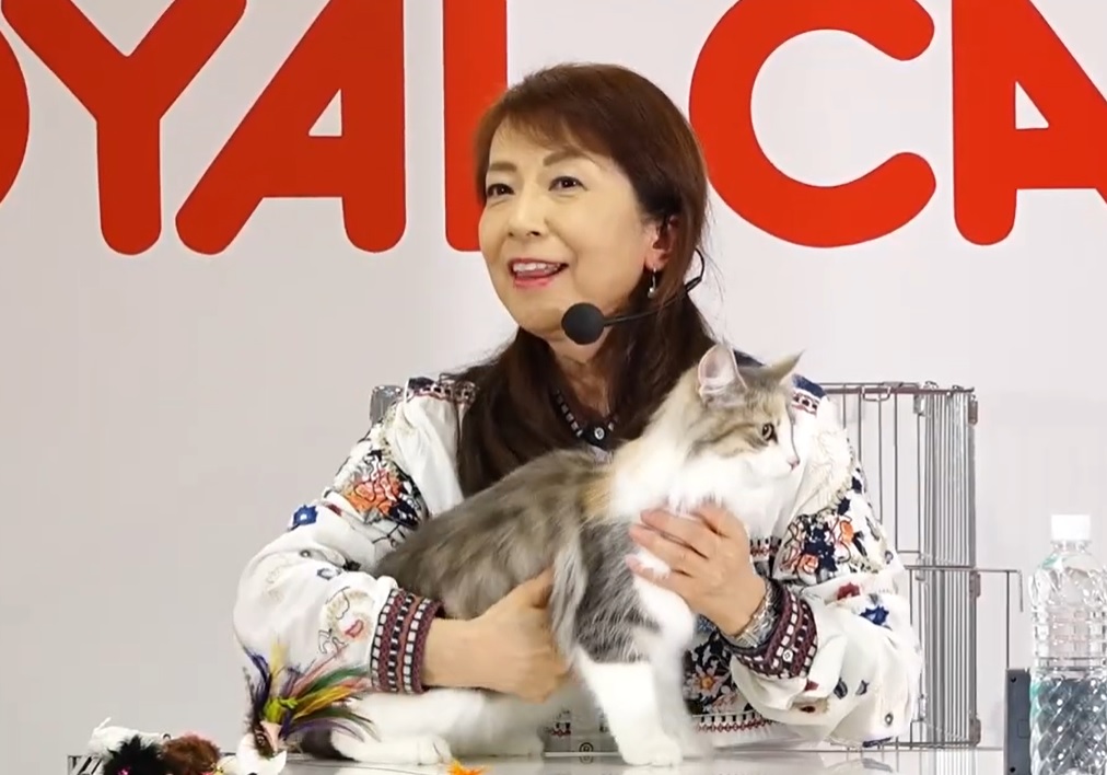 【ご報告】 JAPAN CAT SHOW 2023 ロイヤルカナン「TICA Asia East Region Show」（画像掲載 ...